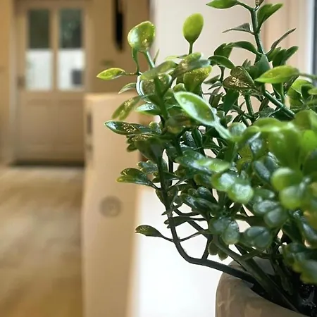 Moat View Free Parking, Ev Charging & Central Apartment *